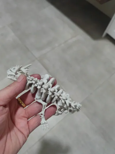 https://makerworld.bblmw.com/makerworld/comment/20260308/2652840349/42fb91177c508baf.jpg