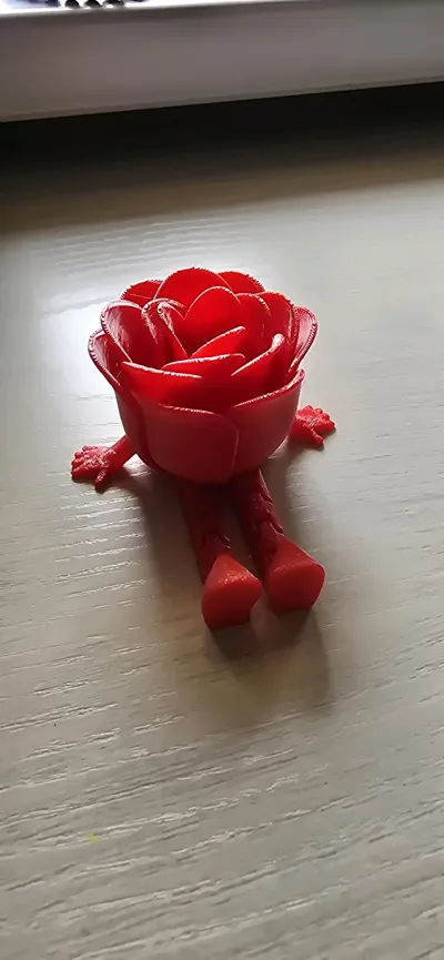 https://makerworld.bblmw.com/makerworld/comment/20260308/2876748755/154ca3e1239a099b.jpg