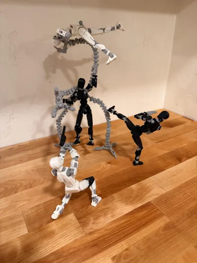 https://makerworld.bblmw.com/makerworld/comment/20260308/3301194766/bd42c48a9f434a83.jpg