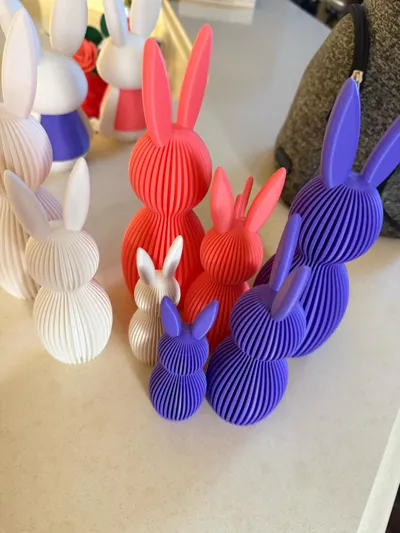 https://makerworld.bblmw.com/makerworld/comment/20260308/3527851872/063dd8a41c7deda9.jpg