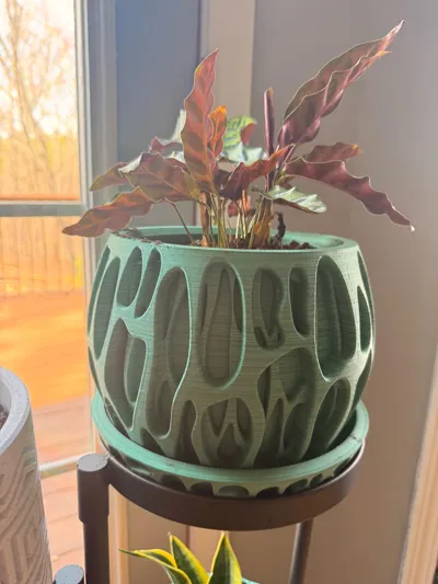 https://makerworld.bblmw.com/makerworld/comment/20260308/4022027517/87949b1cc171d162.jpg