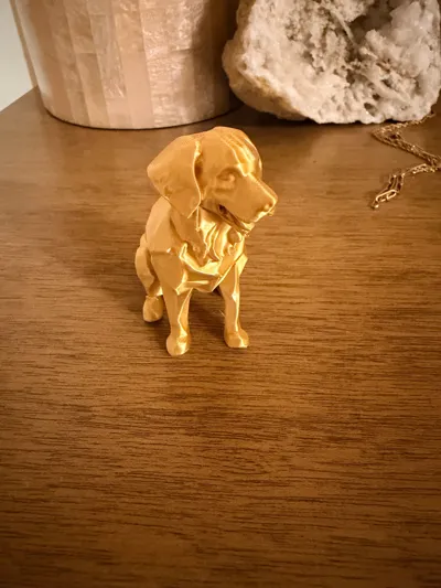 https://makerworld.bblmw.com/makerworld/comment/20260308/4119622277/3f0224f691526cd4.jpg