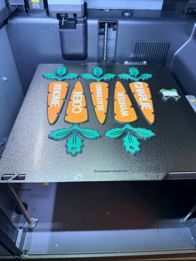 https://makerworld.bblmw.com/makerworld/comment/20260308/607850823/1300e00852752b1d.jpg