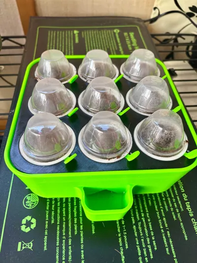 https://makerworld.bblmw.com/makerworld/comment/20260308/776902911/8710b6df3850bc81.jpg