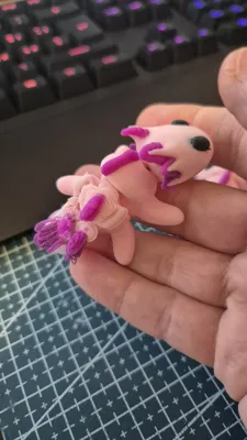 https://makerworld.bblmw.com/makerworld/comment/20260308/883745017/c4bc1c132d80bbb5.jpg