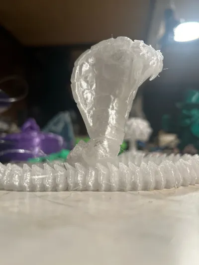 https://makerworld.bblmw.com/makerworld/comment/20260309/1097664351/bffbb80652dc1f32.jpg