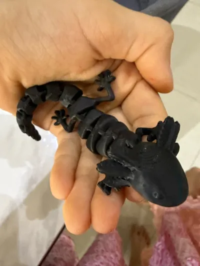 https://makerworld.bblmw.com/makerworld/comment/20260309/1303101232/678b5292448d9b40.jpg