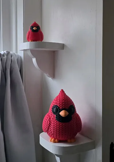 https://makerworld.bblmw.com/makerworld/comment/20260309/1661398282/7803c8f1ce1c0d45.jpg