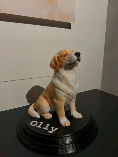 https://makerworld.bblmw.com/makerworld/comment/20260309/1689275767/c80c8f8c972f7f21.jpg