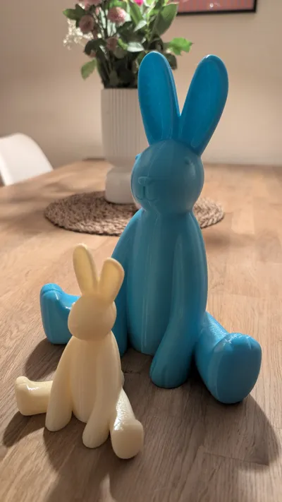 https://makerworld.bblmw.com/makerworld/comment/20260309/2164386489/39eea083451d8a29.jpg