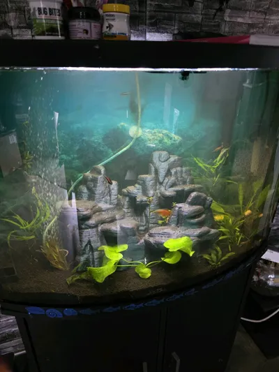 https://makerworld.bblmw.com/makerworld/comment/20260309/218815974/9efbd0ecea76b39e.jpg