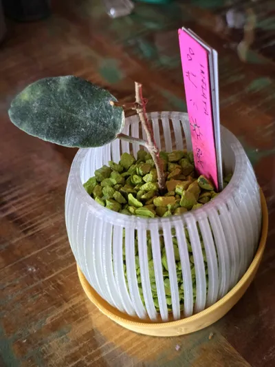https://makerworld.bblmw.com/makerworld/comment/20260309/2412157856/baede4d293b40637.jpg