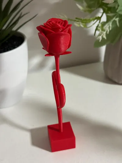 https://makerworld.bblmw.com/makerworld/comment/20260309/2600616052/7067e151f21ffccd.jpeg