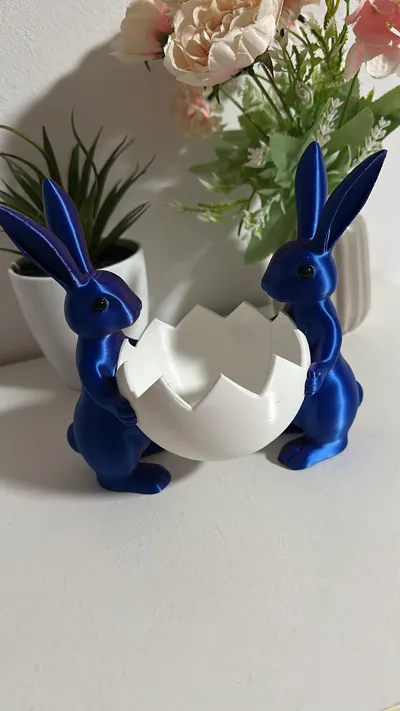 https://makerworld.bblmw.com/makerworld/comment/20260309/2600616052/c5cf6da4fcea2aac.jpeg