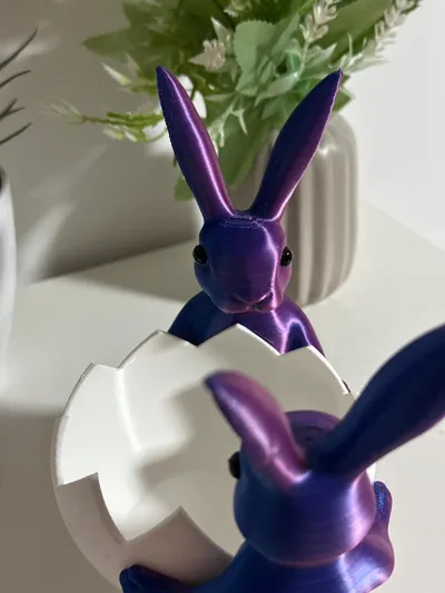 https://makerworld.bblmw.com/makerworld/comment/20260309/2600616052/ce9f7bdb91381f23.jpeg