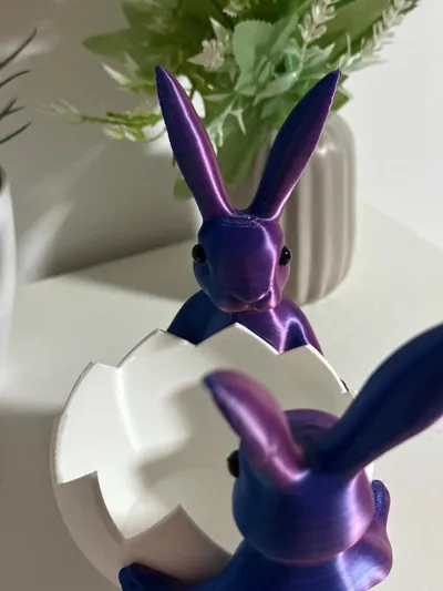 https://makerworld.bblmw.com/makerworld/comment/20260309/2600616052/d2f61984980a93db.jpeg