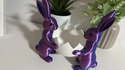 https://makerworld.bblmw.com/makerworld/comment/20260309/2600616052/da2664854cef4b0f.jpeg