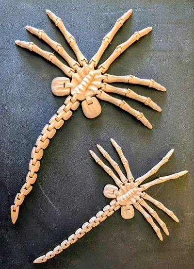 https://makerworld.bblmw.com/makerworld/comment/20260309/2613966202/bab5c89190253c26.jpg