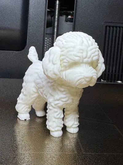 https://makerworld.bblmw.com/makerworld/comment/20260309/3001395439/72df4d9356539409.jpg