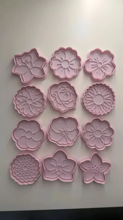 https://makerworld.bblmw.com/makerworld/comment/20260309/3643979296/5618733825e0f080.jpg