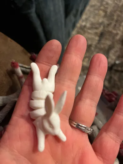 https://makerworld.bblmw.com/makerworld/comment/20260309/3763285254/ffbae877ce509a6f.jpg
