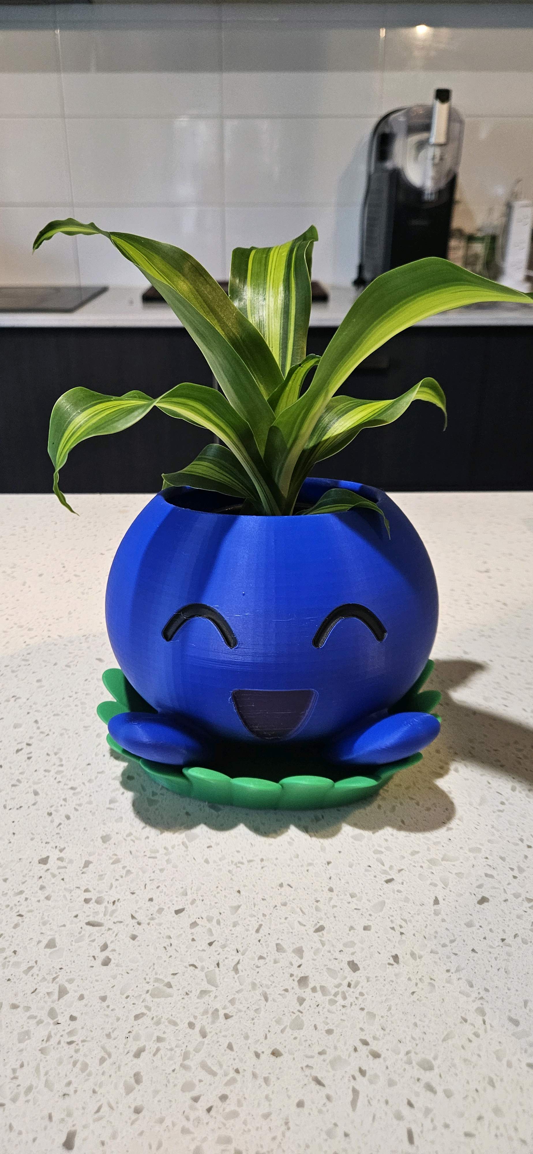 Pokemon Oddish Planter - Free 3D Print Model - MakerWorld