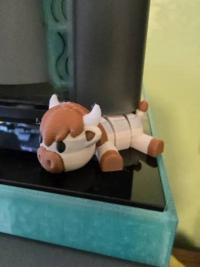 https://makerworld.bblmw.com/makerworld/comment/20260309/4096031726/647fc78b947d6647.jpg
