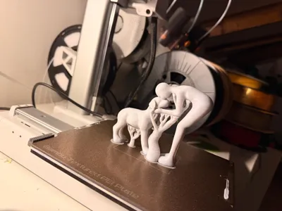 https://makerworld.bblmw.com/makerworld/comment/20260309/4159036846/990e16e6175c5fd1.jpg