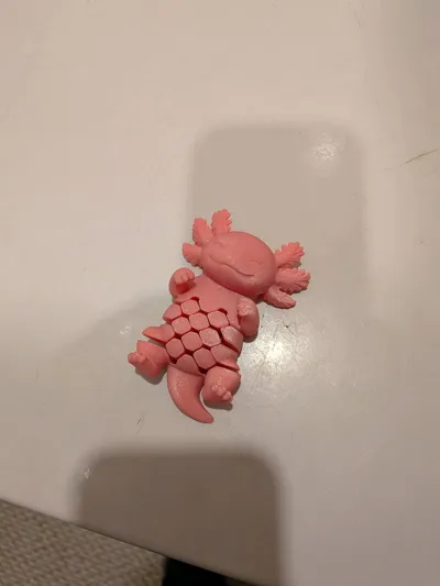 https://makerworld.bblmw.com/makerworld/comment/20260309/439137813/2350b9268dae4ab1.jpg
