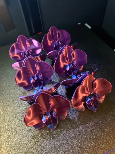 https://makerworld.bblmw.com/makerworld/comment/20260309/661996618/63178b7ced6fa4ff.jpg