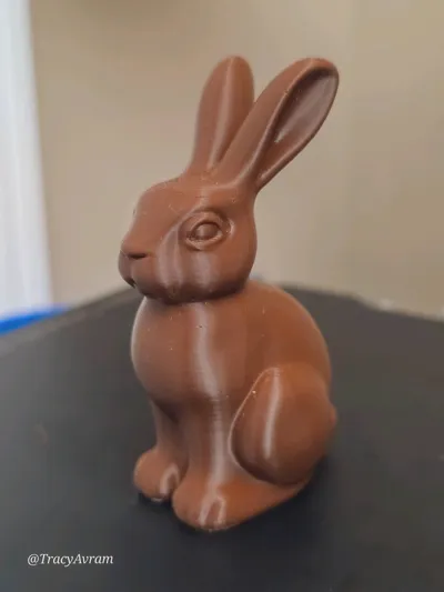 https://makerworld.bblmw.com/makerworld/comment/20260309/937451143/745fcc2cc8688159.jpg