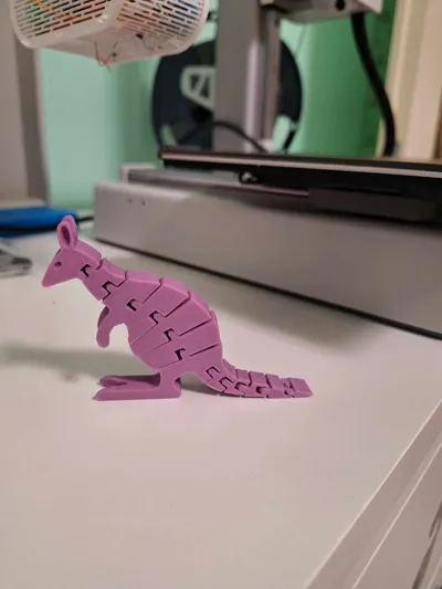 https://makerworld.bblmw.com/makerworld/comment/20260309/946226877/88fb44732540ae35.jpg