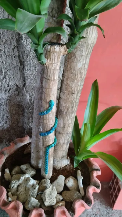 https://makerworld.bblmw.com/makerworld/comment/20260309/94990199/58e53bd9aa6c80be.jpg