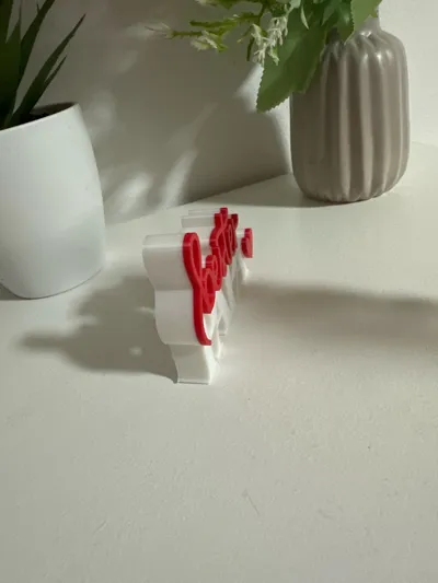 https://makerworld.bblmw.com/makerworld/comment/20260309/980049354/d840fe3297e2f9f9.jpg