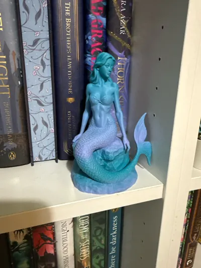 https://makerworld.bblmw.com/makerworld/comment/20260310/1192572186/12f30323611b4f06.jpg