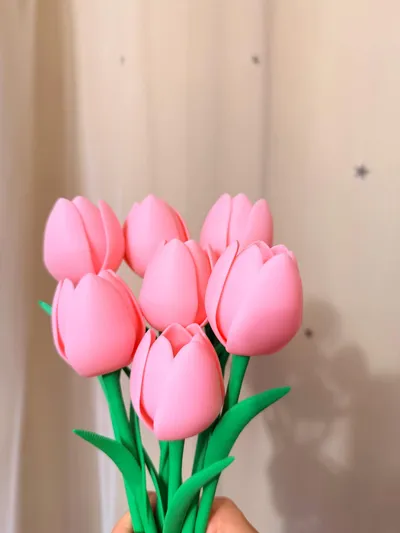 https://makerworld.bblmw.com/makerworld/comment/20260310/1279263337/76e50ff9e439912a.jpg