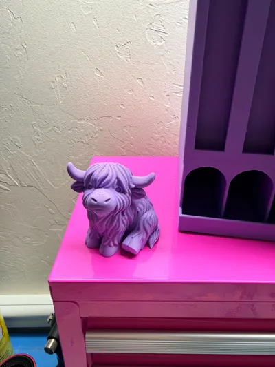 https://makerworld.bblmw.com/makerworld/comment/20260310/1538239566/b2545c7d2957accf.jpg