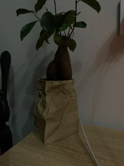 https://makerworld.bblmw.com/makerworld/comment/20260310/1549370758/0a07404a05051163.jpeg