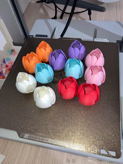 https://makerworld.bblmw.com/makerworld/comment/20260310/1753679619/407a2953e6a49c75.jpg