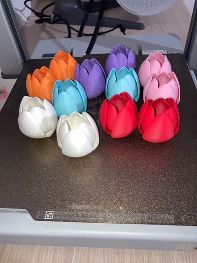 https://makerworld.bblmw.com/makerworld/comment/20260310/1753679619/e48499fe71d2cb35.jpg