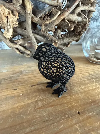 https://makerworld.bblmw.com/makerworld/comment/20260310/1778834582/c6c3e2002ef66eb8.jpg