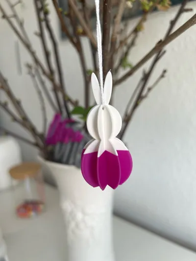 https://makerworld.bblmw.com/makerworld/comment/20260310/2609676927/e80175c93b36b3ae.jpg