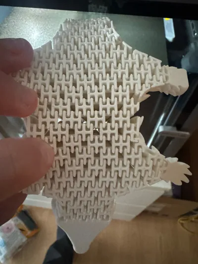 https://makerworld.bblmw.com/makerworld/comment/20260310/2688994489/78c769dc998424b7.jpg