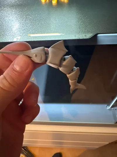 https://makerworld.bblmw.com/makerworld/comment/20260310/2688994489/fe4897e6aead635c.jpg