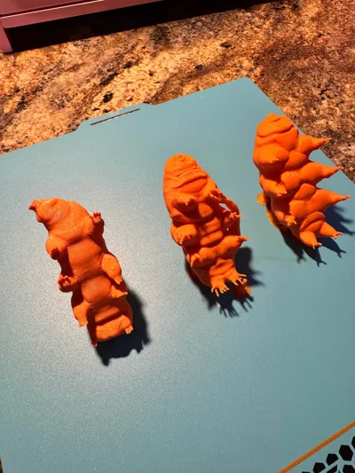 https://makerworld.bblmw.com/makerworld/comment/20260310/3208470345/a8883546aac31042.jpg
