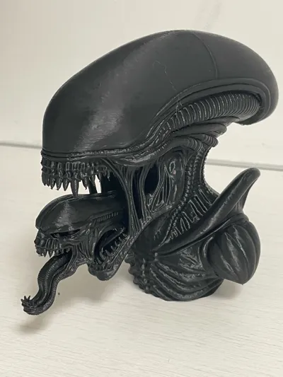 https://makerworld.bblmw.com/makerworld/comment/20260310/346094197/ee28185c31f3f455.jpg