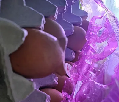 https://makerworld.bblmw.com/makerworld/comment/20260310/3503525185/0cf925f0c1d75aa4.jpg