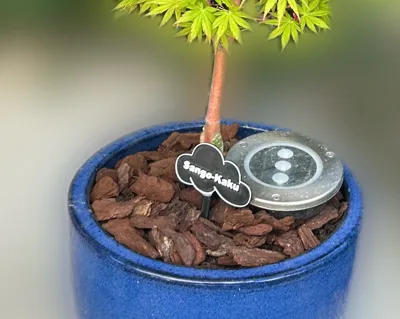 https://makerworld.bblmw.com/makerworld/comment/20260310/3789878346/a9a3ed5292813db1.jpg