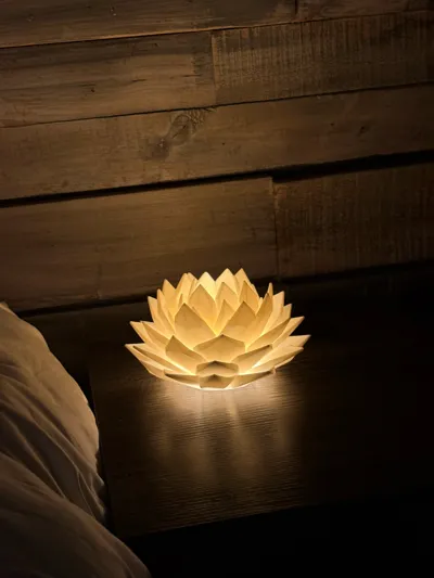 https://makerworld.bblmw.com/makerworld/comment/20260310/3944683655/e5d8b868214fc28a.jpg