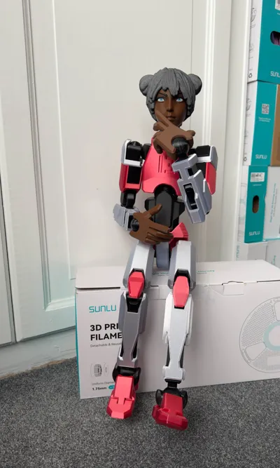 https://makerworld.bblmw.com/makerworld/comment/20260310/4159176625/c914bf0165564a16.jpg
